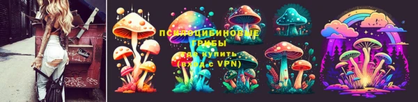 прущая мука Елабуга