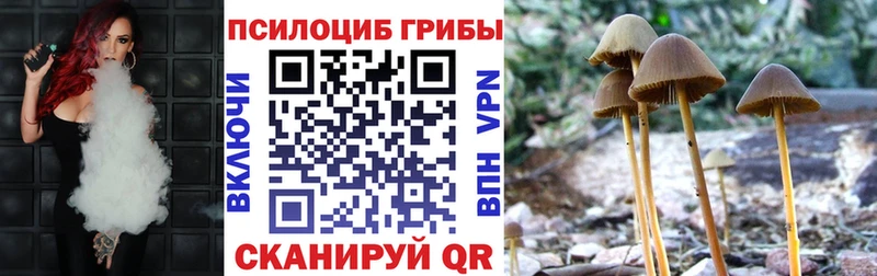 Псилоцибиновые грибы Psilocybine cubensis  MEGA вход  Свирск 